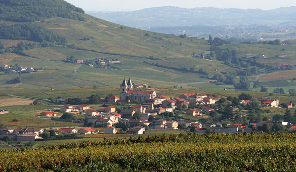 Village Régnié-Durette Beaujolais